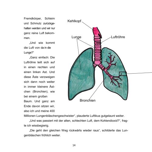 Blick ins Buch Leber 14